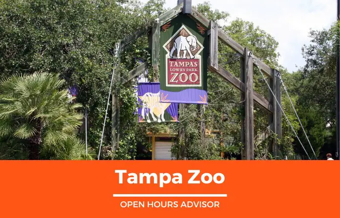 tampa zoo hours