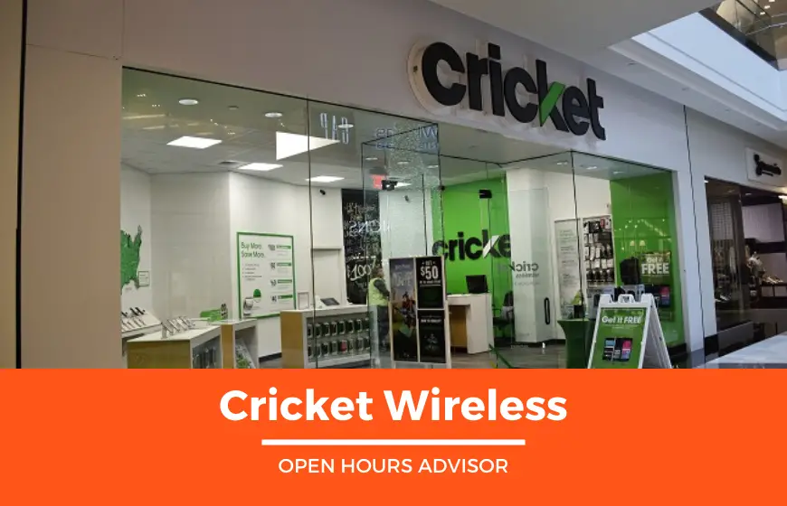 cricket