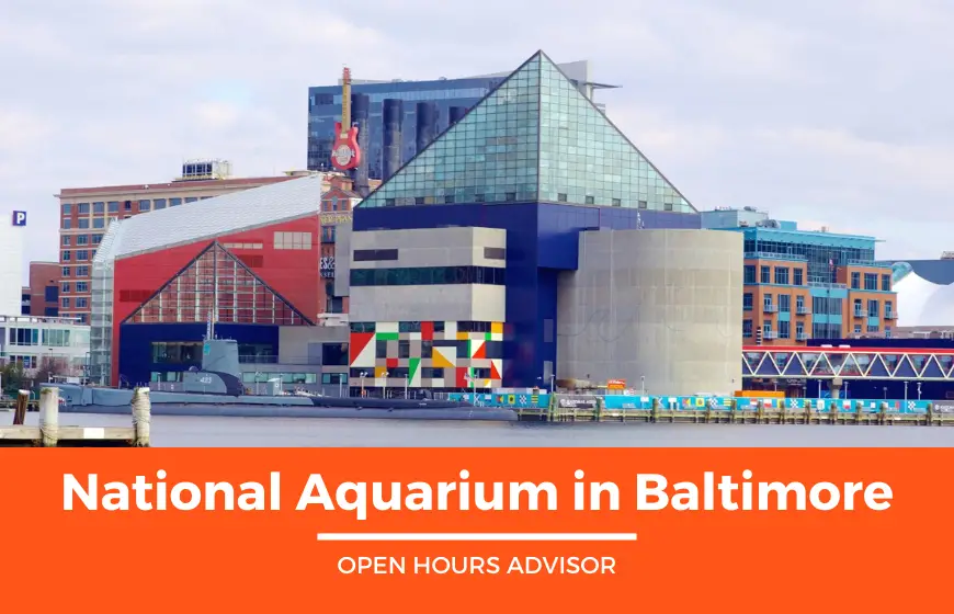 baltimore aquarium